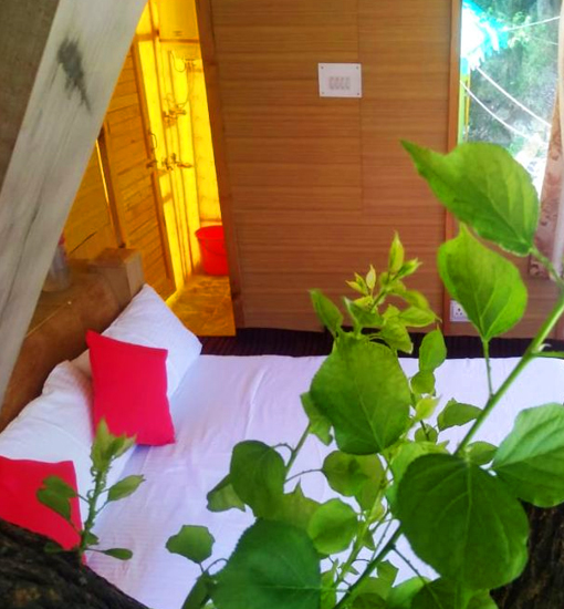 Tree House