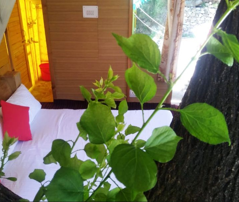 Manali Camp