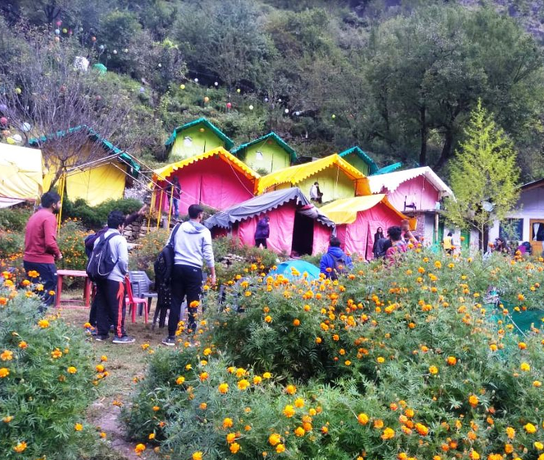 Manali Camp