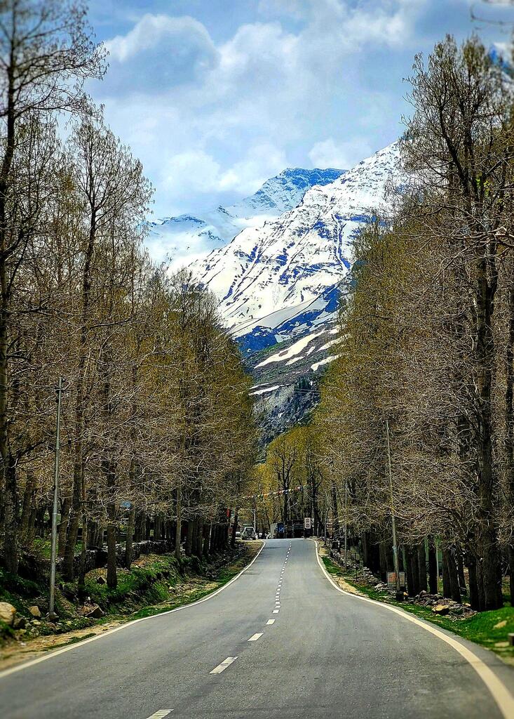 Experience the Goodness of Nature